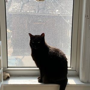 Meet your Posher, Emily